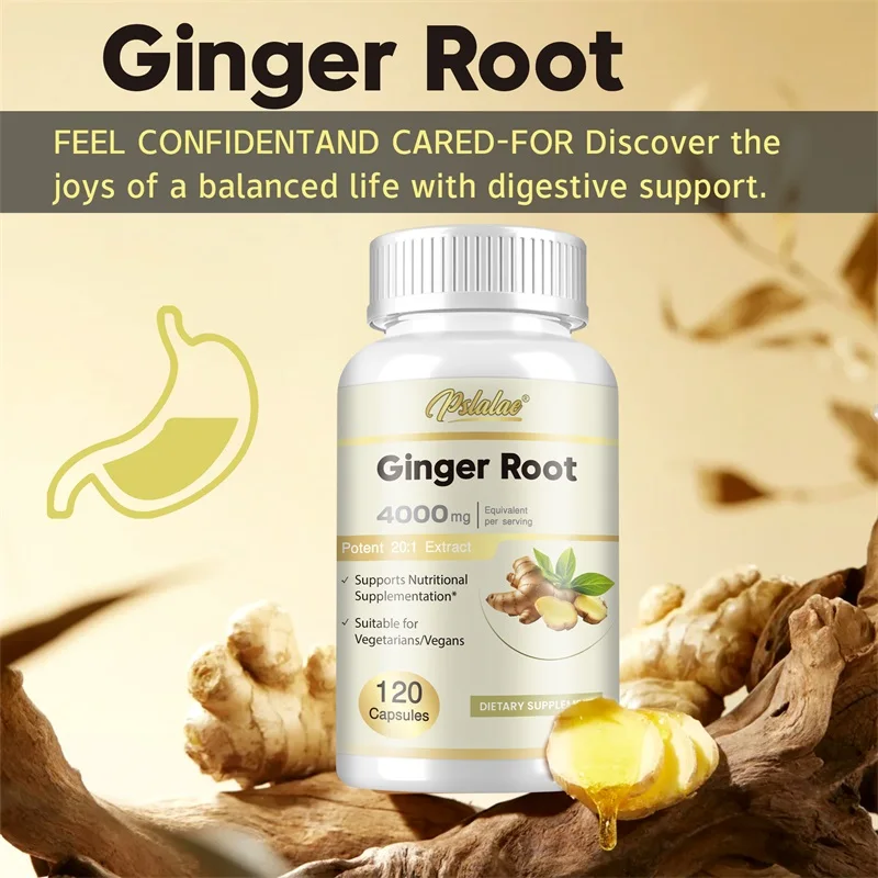 Ginger Root Capsules - Promote - Nutrition And Exercise review and price